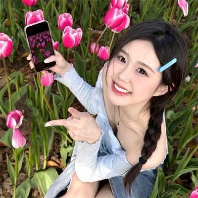 龙凤争挂帅